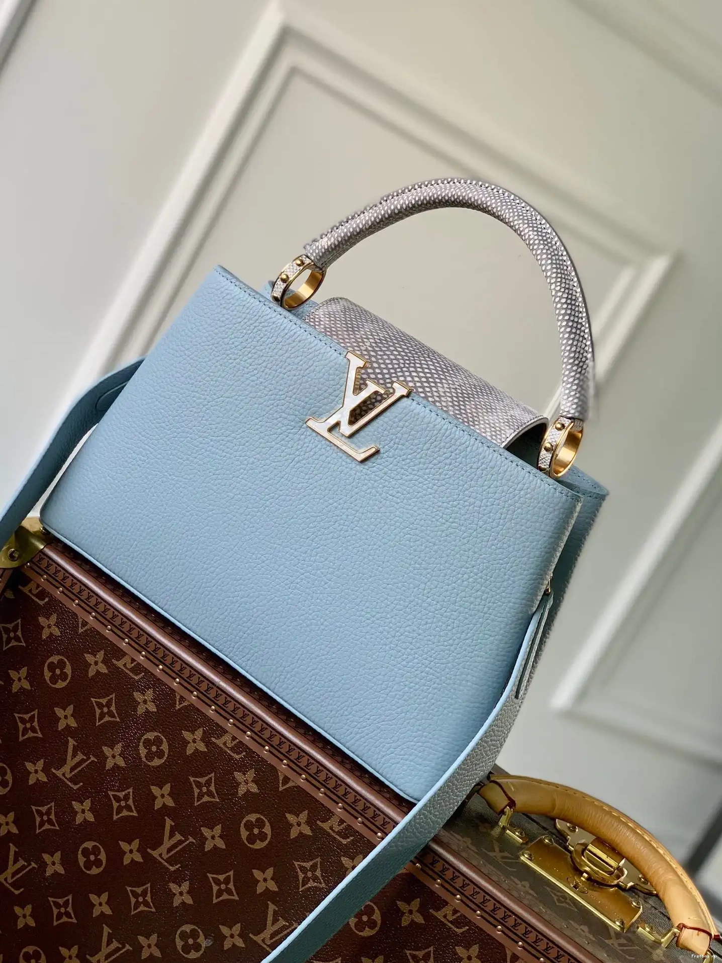 Frstbag ru VUITTON MM LOUIS CAPUCINES 0608